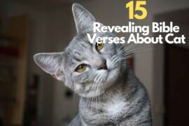 15 Shocking Bible Verses About Cat – Bible Verses of the day