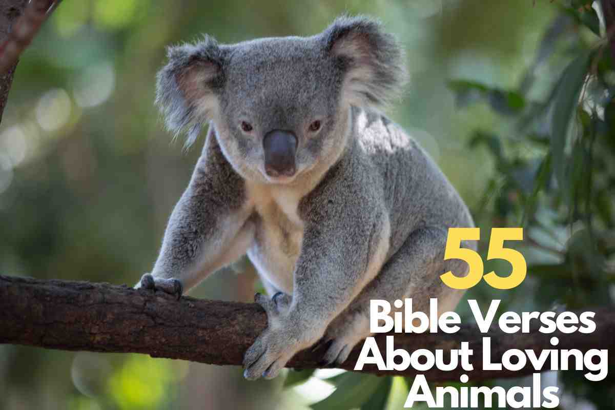 Bible Verses About Loving Animals