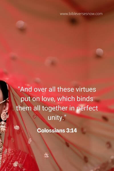 Colossians 3_14