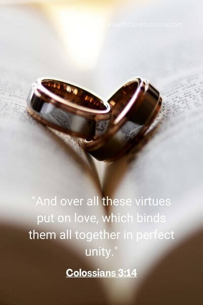 45 Best Bible Verses For Wedding Invitation