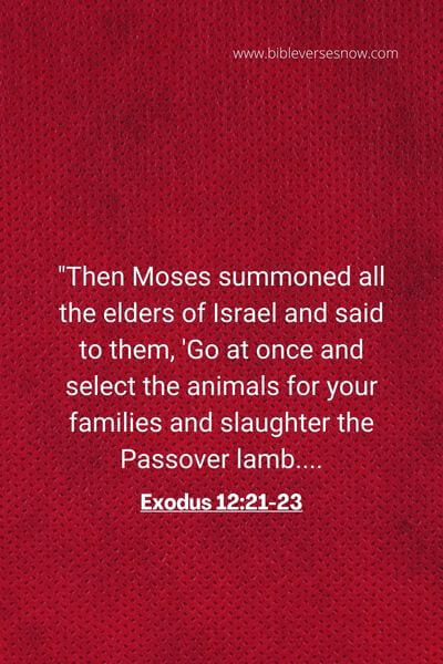 Exodus 12_21-23