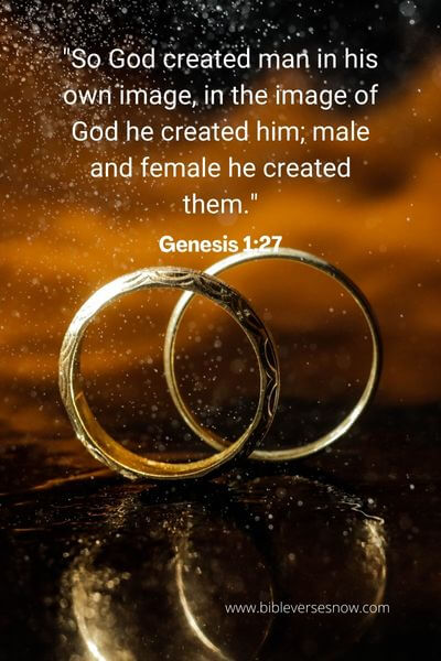 Genesis 1_27