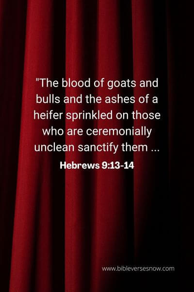 Hebrews 9_13-14