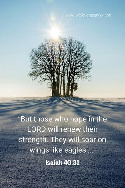Isaiah 40_31
