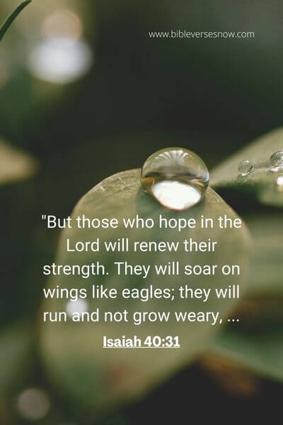 Isaiah 40_31