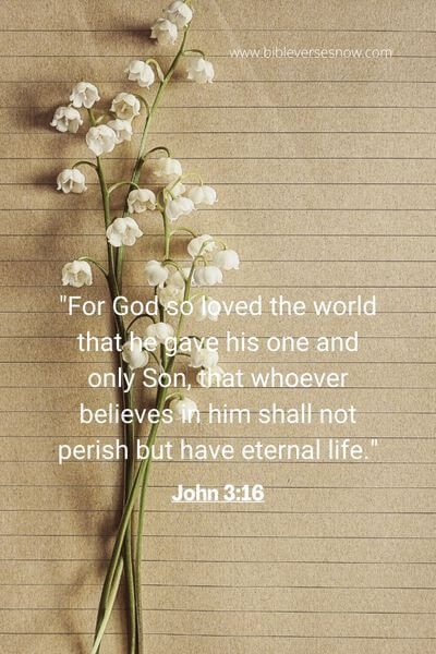 John 3_16