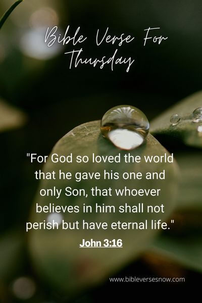 John 3_16