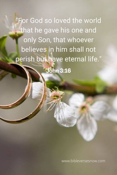 John 3_16 (2)