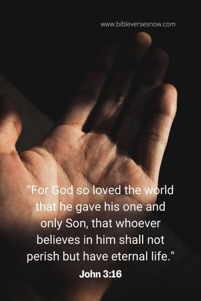 John 3_16 (2)