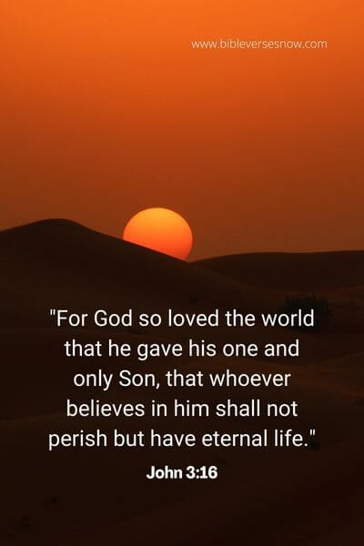 John 3_16 (2)