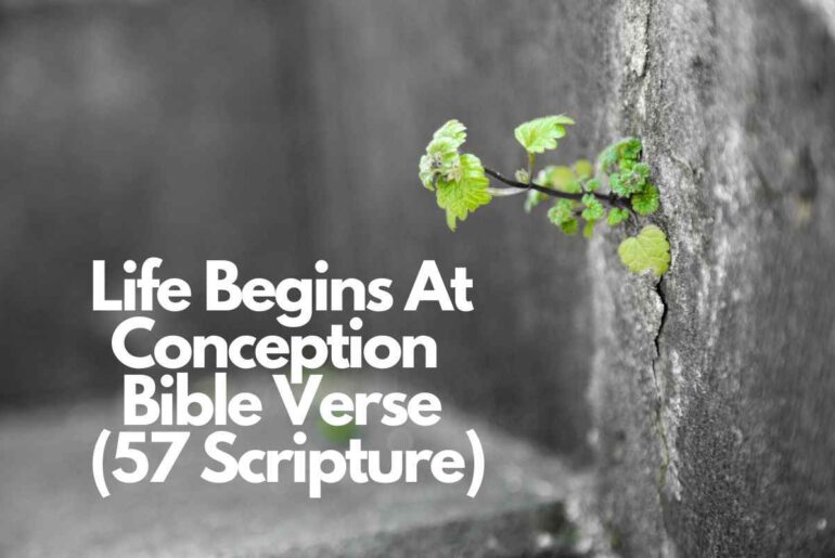 Life Begins At Conception Bible Verse