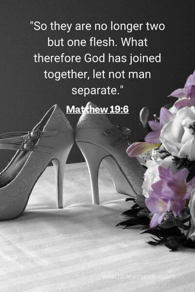 Matthew 19_6