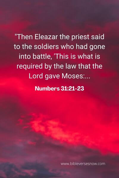 Numbers 31_21-23