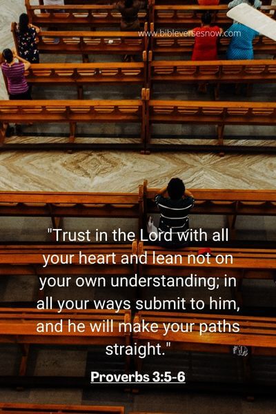 Proverbs 3_5-6