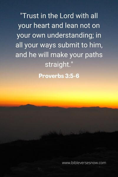 Proverbs 3_5-6