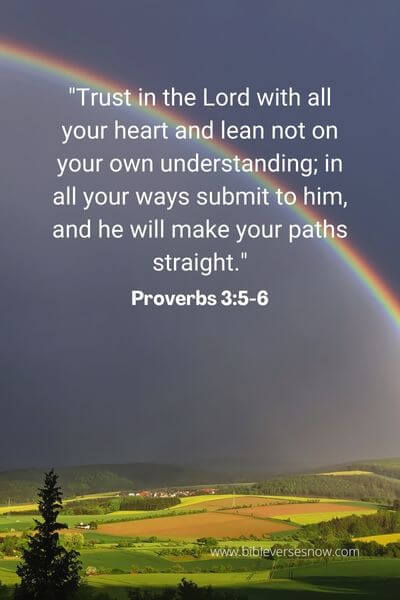 Proverbs 3_5-6