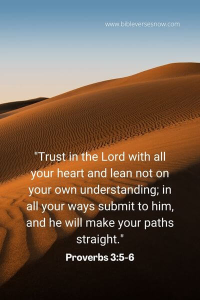 Proverbs 3_5-6