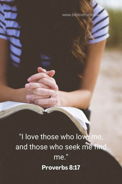 Proverbs 8_17