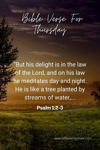 Psalm 1_2-3