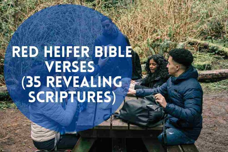 Red Heifer Bible Verses