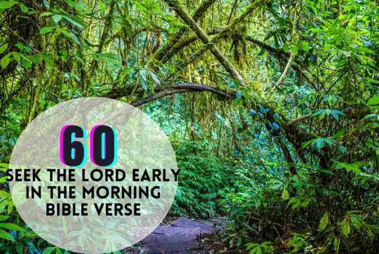 Seek The Lord Early In The Morning Bible Verse