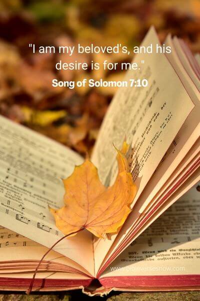 60 Interesting Song Of Solomon Wedding Verse