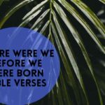 Where were we before we were born Bible Verses