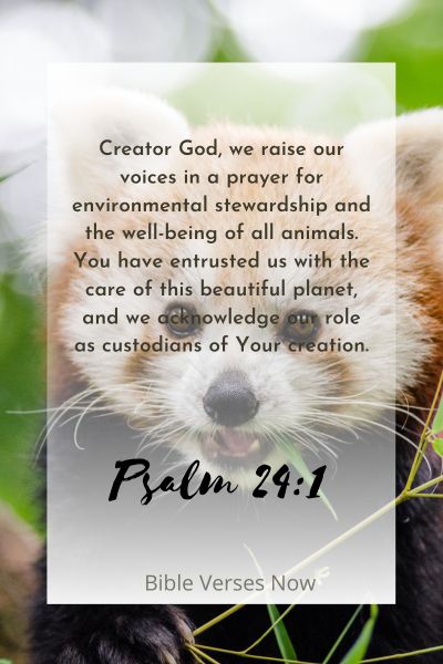 A Call for Environmental Stewardship