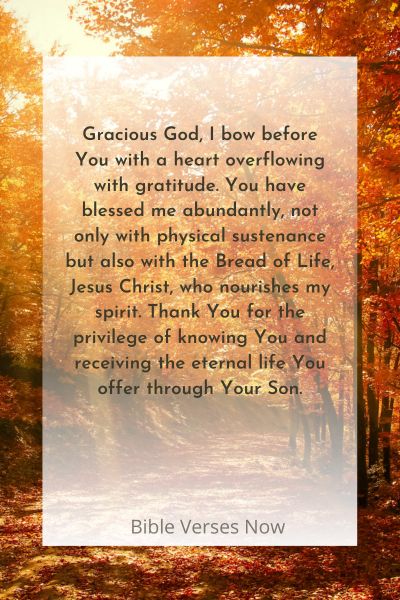 A Prayer of Gratitude