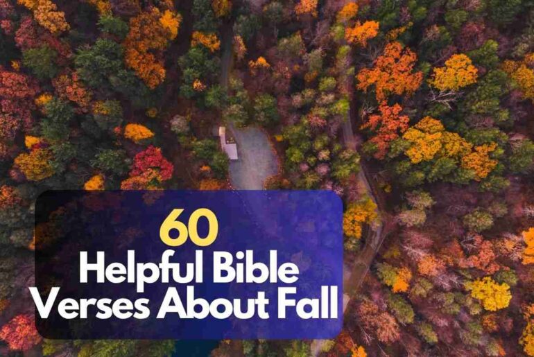 Bible Verses About Fall