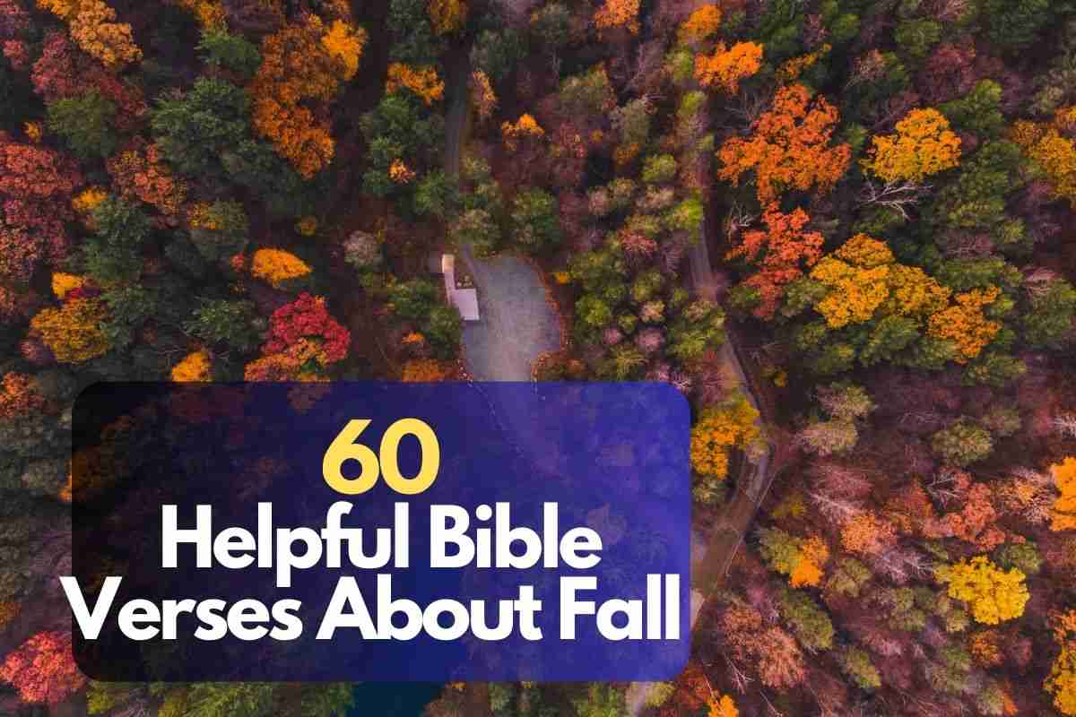 Bible Verses About Fall