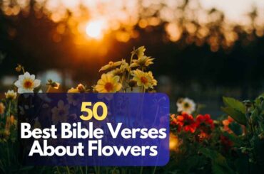 Bible Verses About Flowers