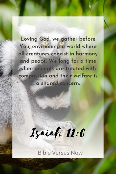 Envisioning a World of Coexistence