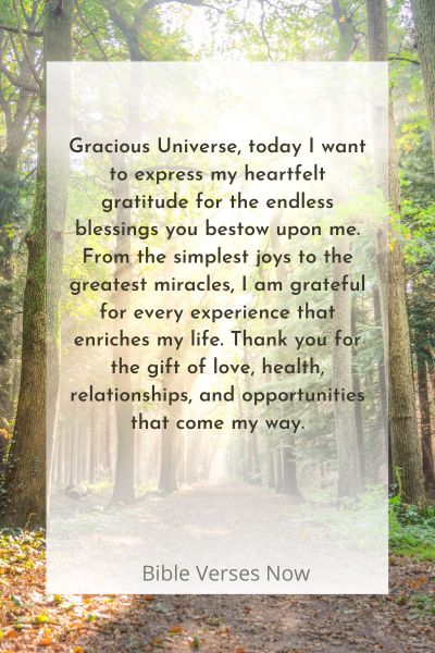 Expressing Gratitude to the Universe for its Endless Blessings