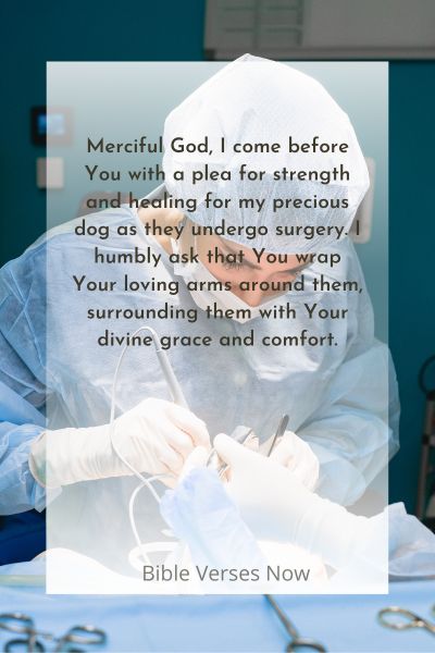 Granting Strength and Healing to My Dog during Surgery