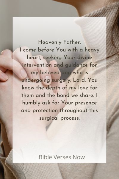 Prayer For Dog In Surgery