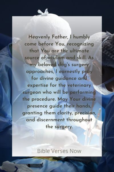 Praying for Divine Guidance and Skill for the Veterinary Surgeon