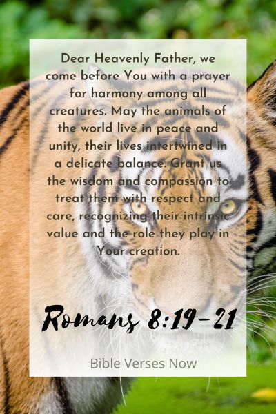  Praying for Harmony for Animals