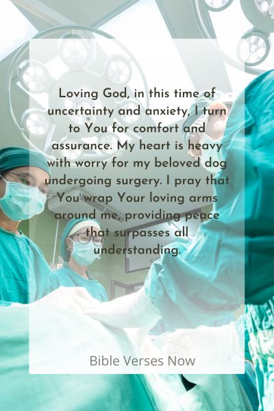 Seeking Comfort and Assurance for My Anxious Heart