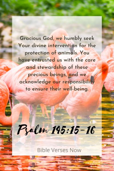 Seeking Divine Intervention for Animal Protection
