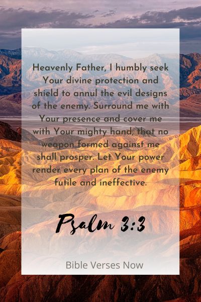 Seeking God's Shield to Annul the Evil Designs of the Enemy