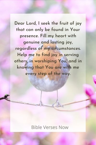 Seeking the Fruit of Joy in Prayer