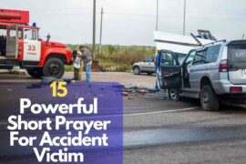 Bible verses about stupidity – Bible Verses of the day