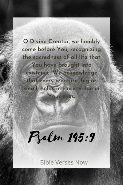 St. Francis' Invocation for Animals