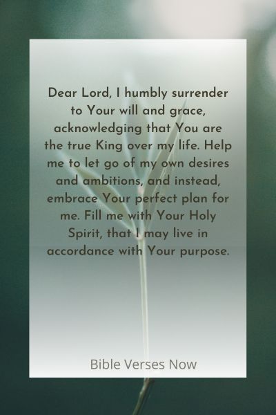 Surrendering to Christ the King's Will and Embracing His Grace