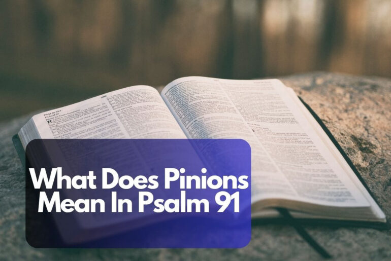 What Does Pinions Mean In Psalm 91