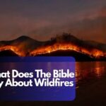 What Does The Bible Say About Wildfires