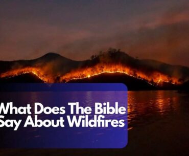 What Does The Bible Say About Wildfires