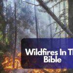 Wildfires In The Bible