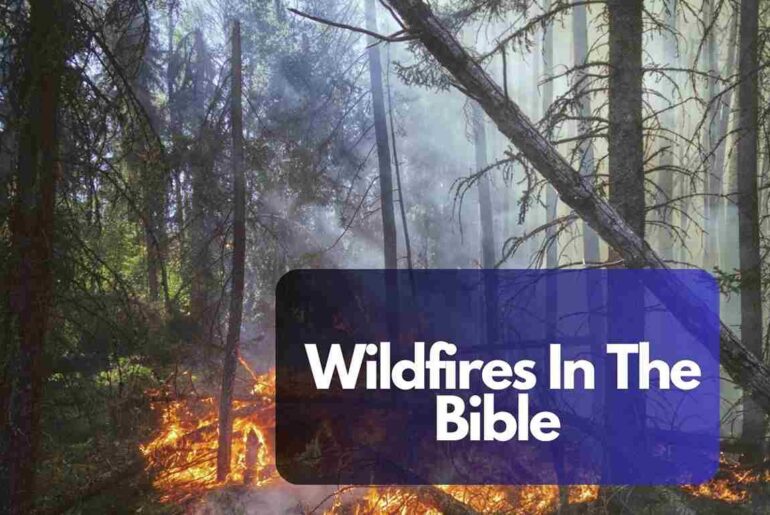 Wildfires In The Bible